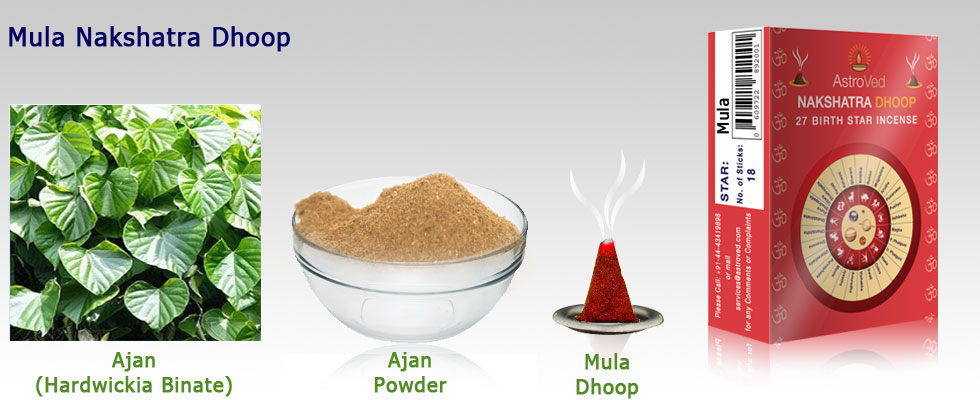 Mula