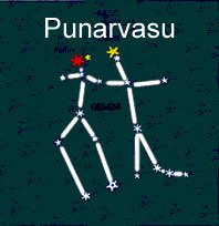 Punarvasu