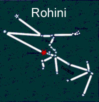Rohini